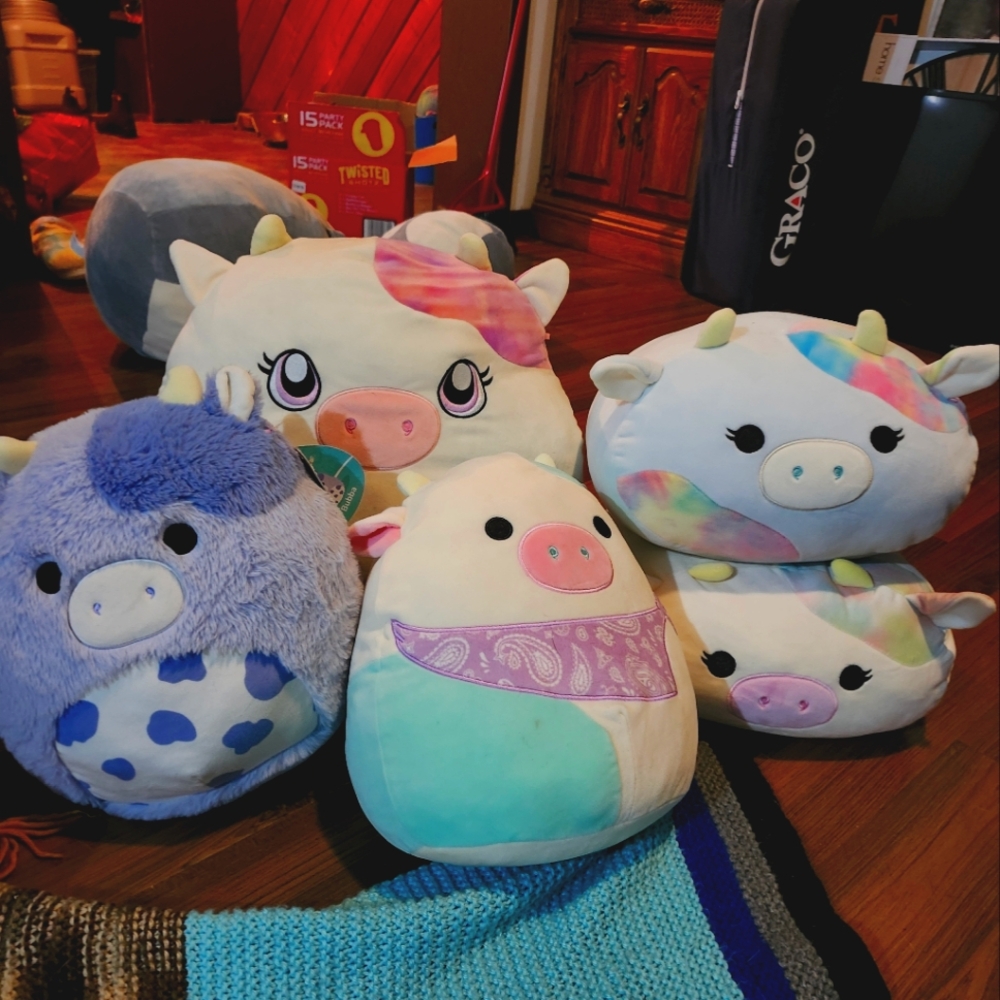 Cow squishmallow bundle